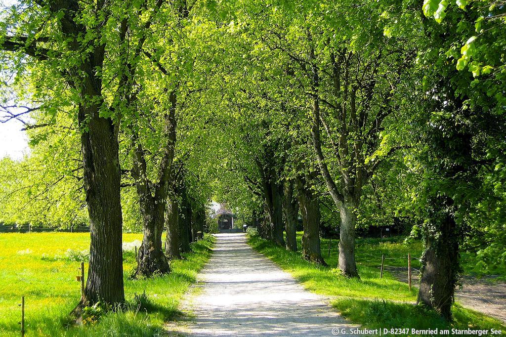 Landgasthof Drei Rosen Bernried am Starnberger See Kültér fotó